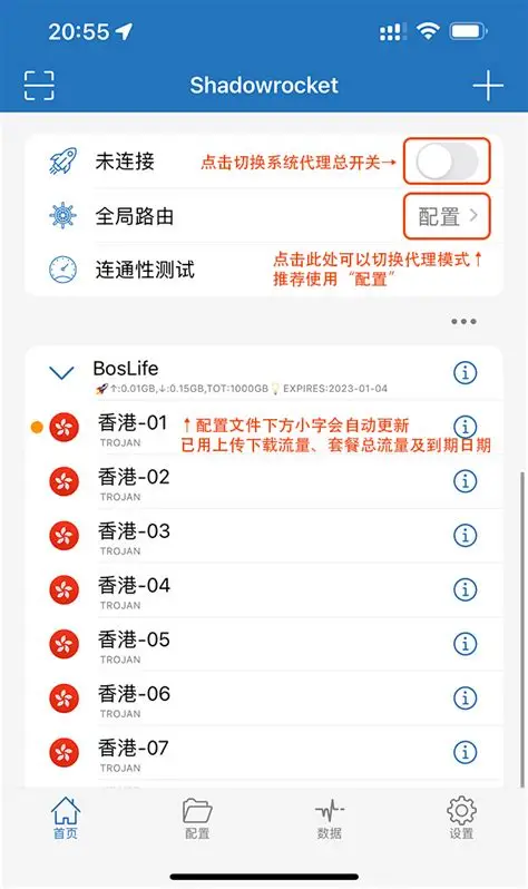 Shadowrocket新手配置